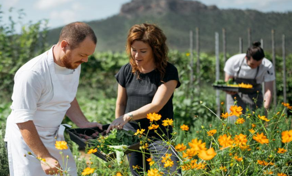 Test Spade Oak Wines